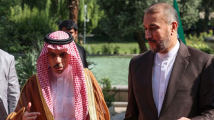 A T&eacute;h&eacute;ran, Iraniens et Saoudiens affichent leur r&eacute;conciliation