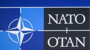 FDP begr&uuml;&szlig;t Aufstockung von Nato-Eingreiftruppe