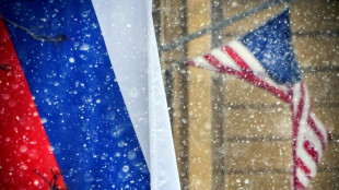 Un tribunal ruso condena a un estadounidense a 15 a&ntilde;os de c&aacute;rcel por "espionaje"