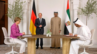 Les Emirats vont fournir &agrave; l'Allemagne du gaz liqu&eacute;fi&eacute; et du diesel
