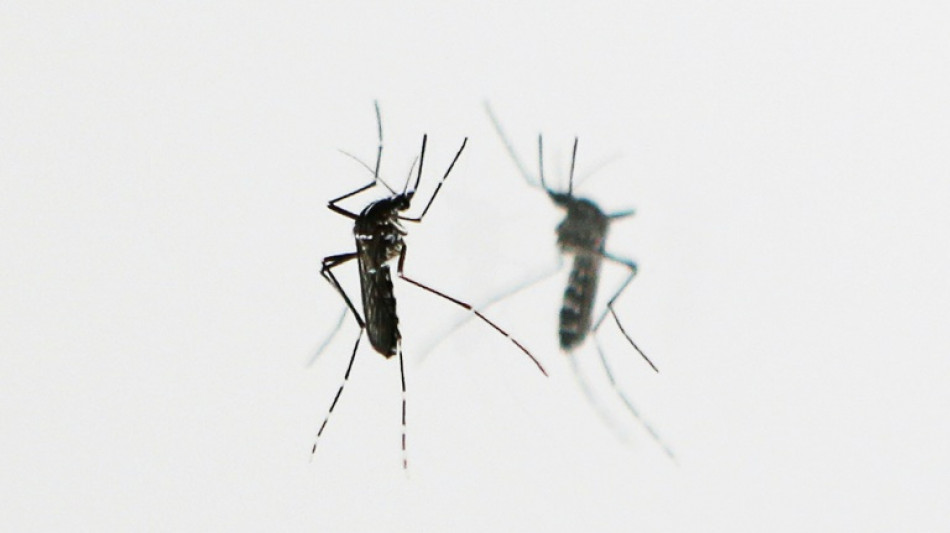 Chikungunya: Stiko empfiehlt erstmals Reiseimpfung für bestimmte Gruppen