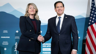 Rubio meets Canadian FM as Ukraine, trade war dominate G7