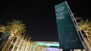 Un ex alto cargo del petr&oacute;leo de Azerbaiy&aacute;n presidir&aacute; la COP29 de Bak&uacute;