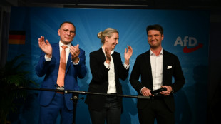 Ren&eacute; Aust zum Leiter der AfD-Delegation im EU-Parlament gew&auml;hlt