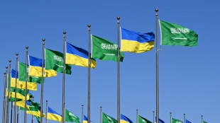 Ukraine to present US with Russia partial truce after row