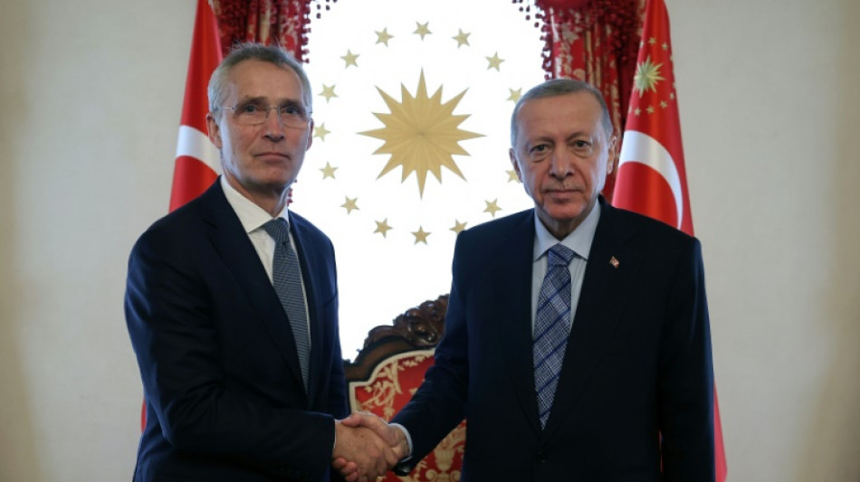 Le chef de l'Otan appelle de nouveau Erdogan &agrave; lever son veto contre la Su&egrave;de