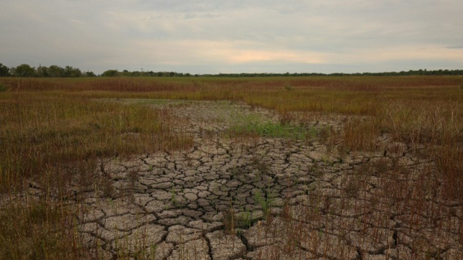 Disasters cause $3.8 tn in crop loses over 30 years: FAO