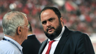 Face aux violences qui secouent le foot grec, le pr&eacute;sident de la Ligue jette l'&eacute;ponge