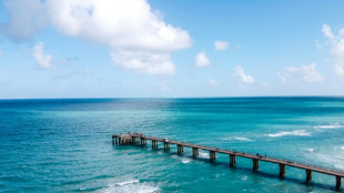 Victoire fran&ccedil;aise autour d'une fabuleuse &eacute;pave en Floride