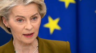 Drohnenabwehr und Weltraum-Schild: EU-Kommission schlägt Fahrplan zur Verteidigung vor