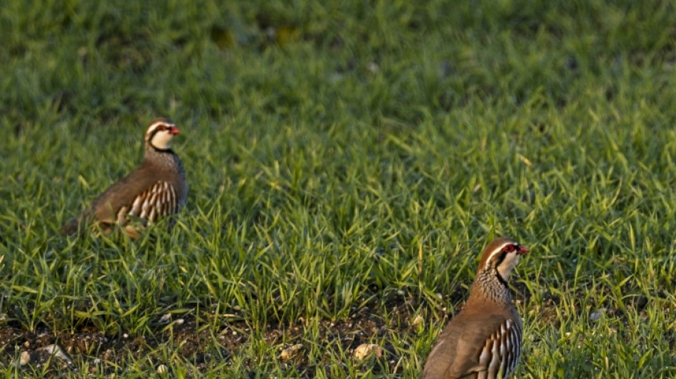 "Justice pour le vivant": l'Etat fran&ccedil;ais sous pression devant l'effondrement de la biodiversit&eacute;