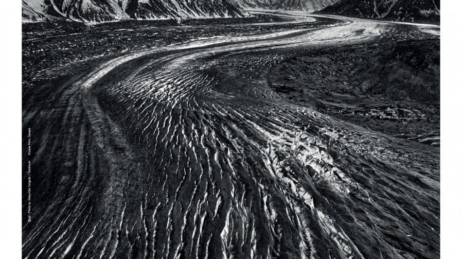 Dal 25 aprile al 4 maggio torna il Trento Film Festival