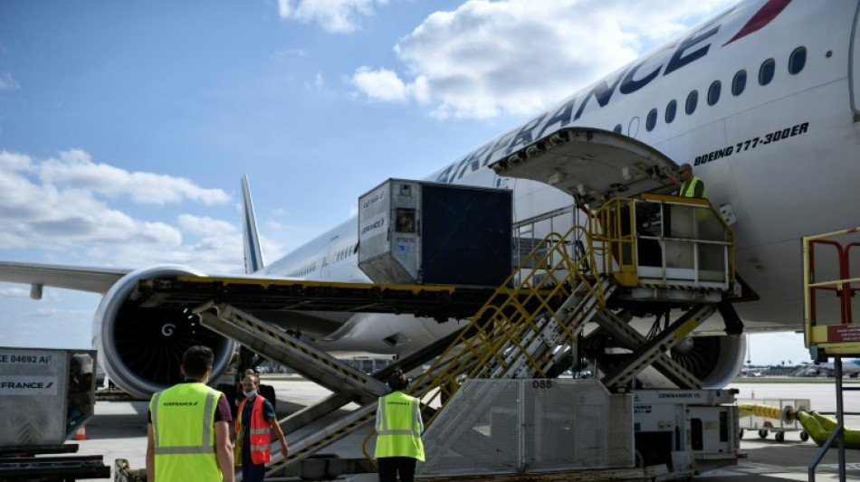 Une panne du syst&egrave;me de bagages provoque la "pagaille" &agrave; Orly