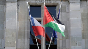 French town halls fly Palestinian flag despite government warning