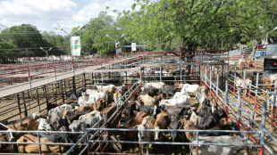 Document&aacute;rio 'Patrullaje' denuncia desmatamento na Nicar&aacute;gua pela agropecu&aacute;ria