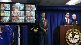 Palisades-Feuer in Los Angeles: Mutmaßlicher Brandstifter festgenommen