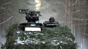 Vorkommando f&uuml;r Bundeswehr-Brigade in Litauen bricht auf