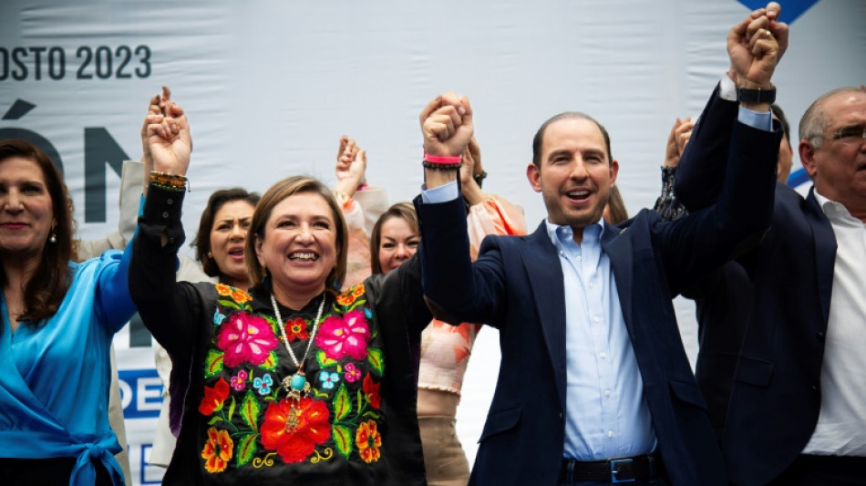 La derechista G&aacute;lvez ser&aacute; la candidata &uacute;nica opositora para las presidenciales de M&eacute;xico