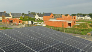 Les acteurs de l'énergie solaire créent une fédération pour contrer "les attaques"