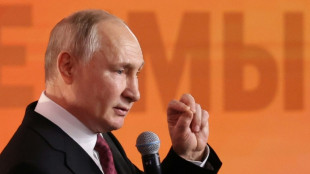Putin visitar&aacute; Emiratos &Aacute;rabes Unidos y Arabia Saudita el mi&eacute;rcoles