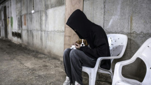 Isra&euml;l: sous les missiles iraniens, une vie de chiens