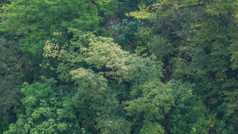 Mor&igrave; dopo rito sciamanico, quattro indagati