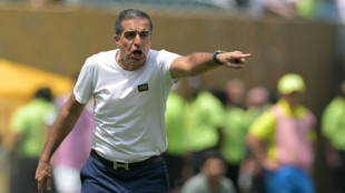 Botafogo demite Renato Paiva ap&oacute;s ser eliminado pelo Palmeiras na Copa do Mundo de Clubes