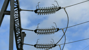 Electricit&eacute;: l'hiver 2023-24 "probablement" le plus risqu&eacute;, estime Emmanuelle Wargon