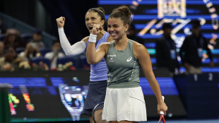 Tennis: gioia Errani-Paolini 'è stato un ottimo torneo'