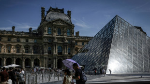 Louvre museum 'running out of steam', says new director