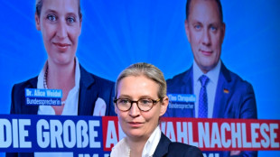 AfD will sich um neue B&uuml;ndnispartner in Europa bem&uuml;hen - nach Ausschluss aus ID