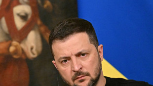 Zelensky &agrave; Berlin pour pr&eacute;parer sa contre-offensive