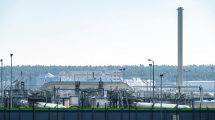 Union fordert klares Nein zu Zahlung f&uuml;r Energielieferungen in Rubel