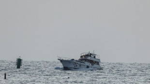 "Flottille pour Gaza": Isra&euml;l a expuls&eacute; tous les militants &eacute;trangers captur&eacute;s en mer