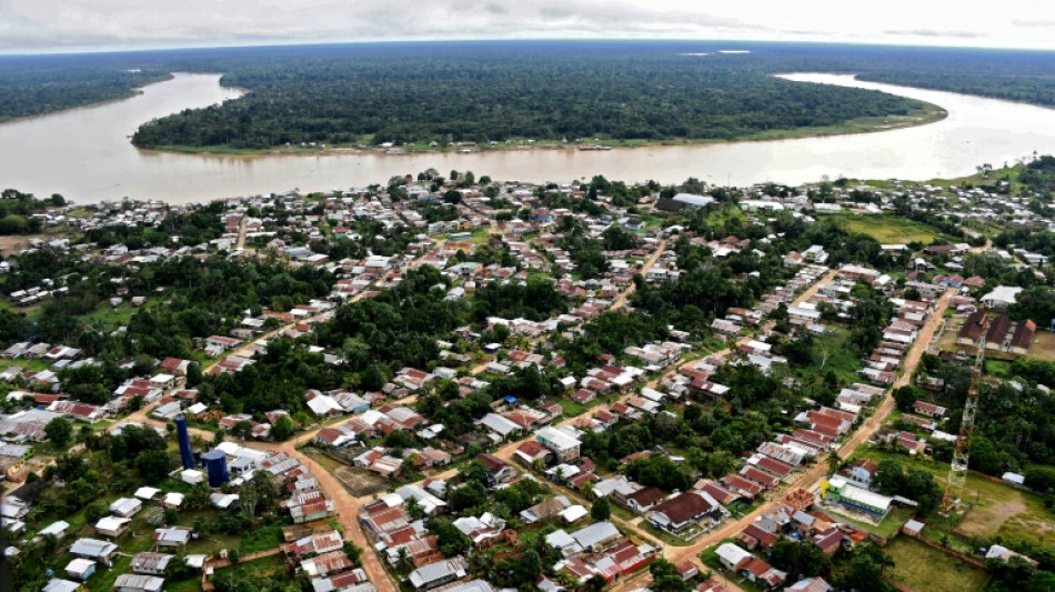 Amazonie: la jungle de la Vall&eacute;e de Javari, l'une des plus denses de la plan&egrave;te