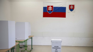 Stichwahl um Pr&auml;sidentschaft in Slowakei begonnen