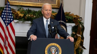 Biden: Sturz Assads er&ouml;ffnet "historische Gelegenheit" f&uuml;r Syrien