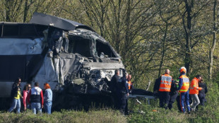 French high-speed train slams into truck, killing TGV driver