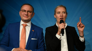 ARD-Hochrechnung: AfD im Osten klar st&auml;rkste Partei bei Europawahl - BSW vor SPD