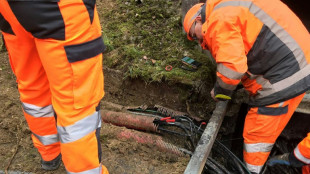 Gare de l'Est: r&eacute;parations en cours, le trafic se r&eacute;tablit plus vite que pr&eacute;vu