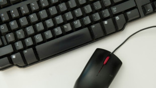 Detenido en Canad&aacute; el presunto responsable de una red dedicada al secuestro de datos