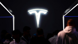 Angriffe im Roten Meer: Tesla stoppt vor&uuml;bergehend Produktion in Gr&uuml;nheide