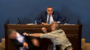 Georgien: Ausschreitungen im Parlament bei Debatte zu Gesetz zu "ausl&auml;ndischen M&auml;chten"