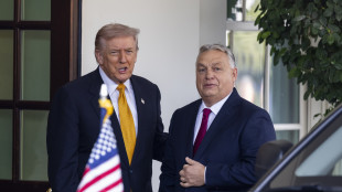 Trump, 'incontro con Putin? C'è sempre una possibilità'