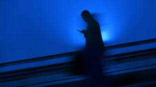 Nachrichtenflut im Netz: H&auml;lfte der Internetnutzer f&uuml;hlt sich &uuml;berfordert