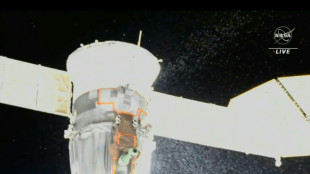 Micrometeorito pudo causar fuga en la c&aacute;psula Soyuz