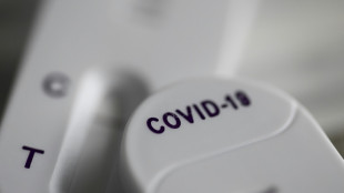 Covid: le spectre d'une neuvi&egrave;me vague avant No&euml;l