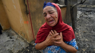 Alg&eacute;rie: les incendies "sont totalement ma&icirc;tris&eacute;s"