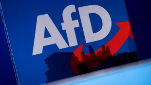 AfD-Urteil l&auml;sst Forderungen nach Verbotsverfahren laut werden