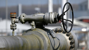Studie: Sofortiges Gas-Embargo gegen Russland w&auml;re "hoch riskant"